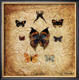 Buy Papillons I at AllPosters.com
