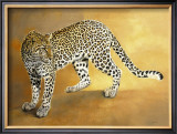 Leopard de Seronera
