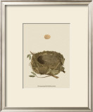 Buy Antique Nest and Egg I at AllPosters.com