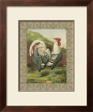 Buy Roosters III at AllPosters.com
