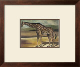 Buy Giraffe at AllPosters.com