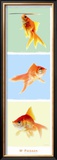 Mr Poisson