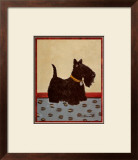 Buy Scottish Terrier at AllPosters.com