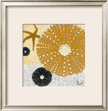 Tidepool Dreams I
