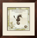 Biologia Marina III