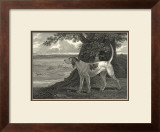Buy Staghound at AllPosters.com