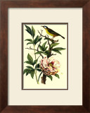 Buy Bird in Nature III at AllPosters.com
