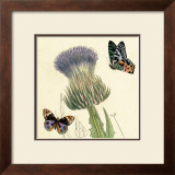 Buy Field Thistle at AllPosters.com