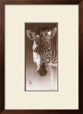 Buy Grant, the Zebra at AllPosters.com