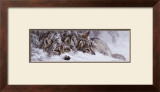Buy Quiet Time at AllPosters.com