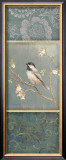 Black Capped Chickadee
