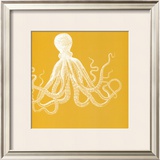 Saturated Sealife I