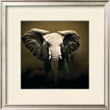 Buy On Safari at AllPosters.com