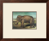 Buy Elephant at AllPosters.com