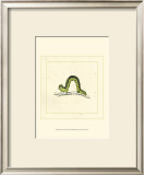 Buy Green Inchworm at AllPosters.com