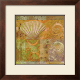 Buy Seashell Collage at AllPosters.com