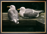 Buy Gulls Resting at AllPosters.com