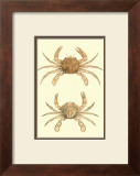 Buy Antique Crab III at AllPosters.com