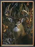 Buy An Autumn Gentleman at AllPosters.com