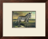Buy Zebra at AllPosters.com