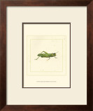 Green Hopper
