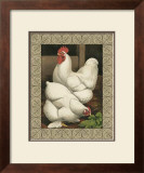 Buy Roosters I at AllPosters.com