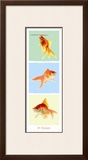 Mr Poisson
