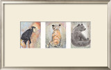Buy Animalities at AllPosters.com