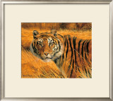 Buy Savannah Alert at AllPosters.com