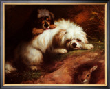 Buy Playful Encounter at AllPosters.com
