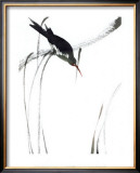 Buy Perched Bird at AllPosters.com