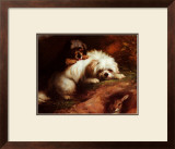 Buy Playful Encounter at AllPosters.com