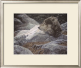 Buy Rocky Realm at AllPosters.com