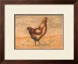Buy Hen at AllPosters.com