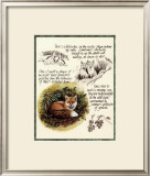 Buy Fox Study at AllPosters.com