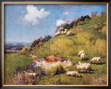 Buy Sheep on a Hillside at AllPosters.com