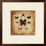 Buy Papillons I at AllPosters.com