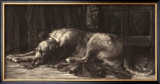Buy Irish Wolfhound at AllPosters.com
