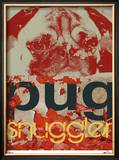 Pug