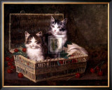 Buy The Pick of the Basket at AllPosters.com