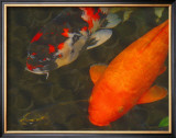 Buy Green Rock Japanese Koi II at AllPosters.com