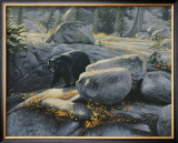 Buy Boulder Bruin at AllPosters.com