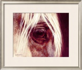 Buy Liponia at AllPosters.com