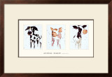 Buy Animal Magic at AllPosters.com