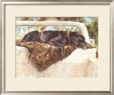 Pushed to the Limit (Black Lab)
