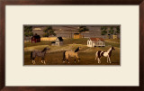 Horses