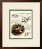 Buy Fox Study at AllPosters.com