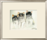 Buy Katzen at AllPosters.com
