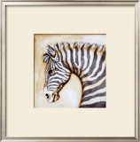 Serengeti Zebra