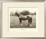 Buy Veronese at AllPosters.com